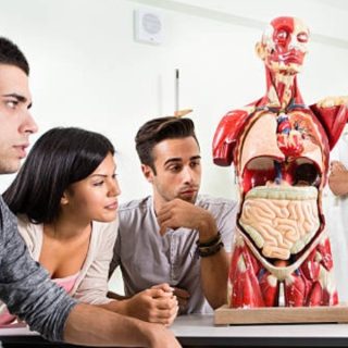 Tečaj anatomije i fiziologije